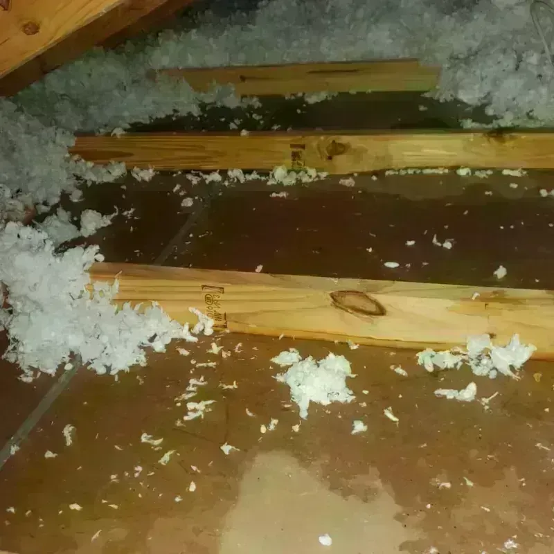 Attic Water Damage in Mason, NH